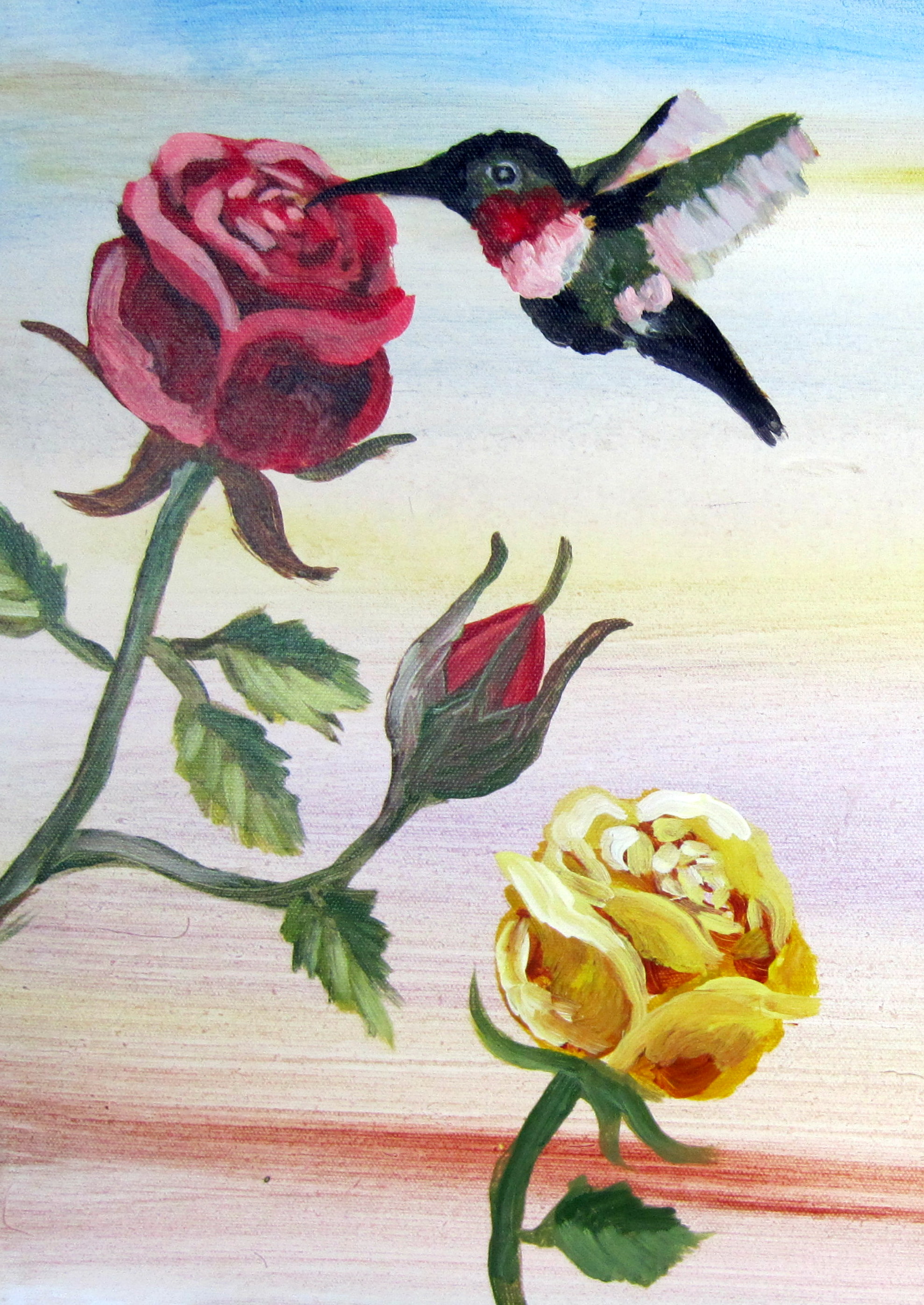 Roses (& Hummingbird)