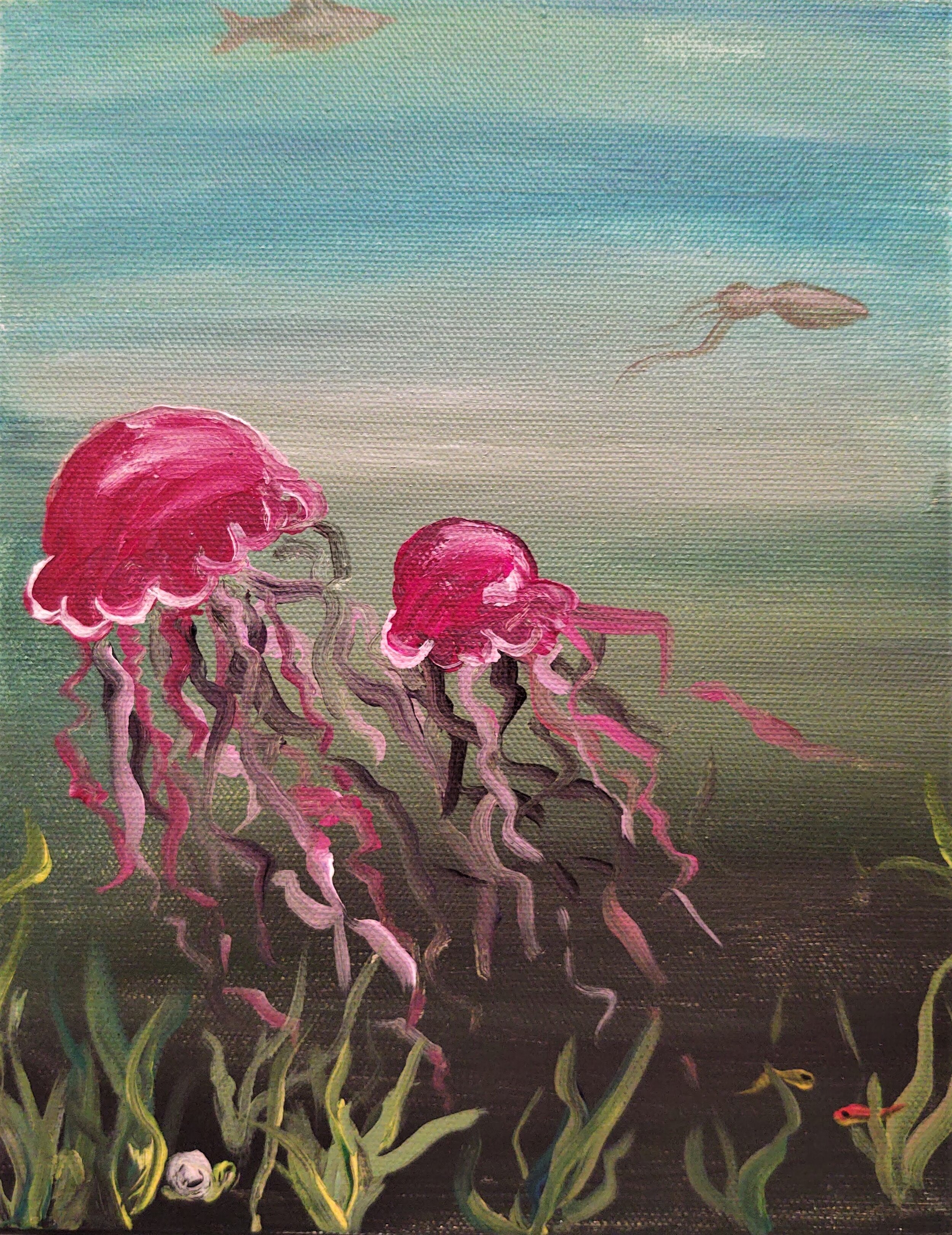 Jelly Fish