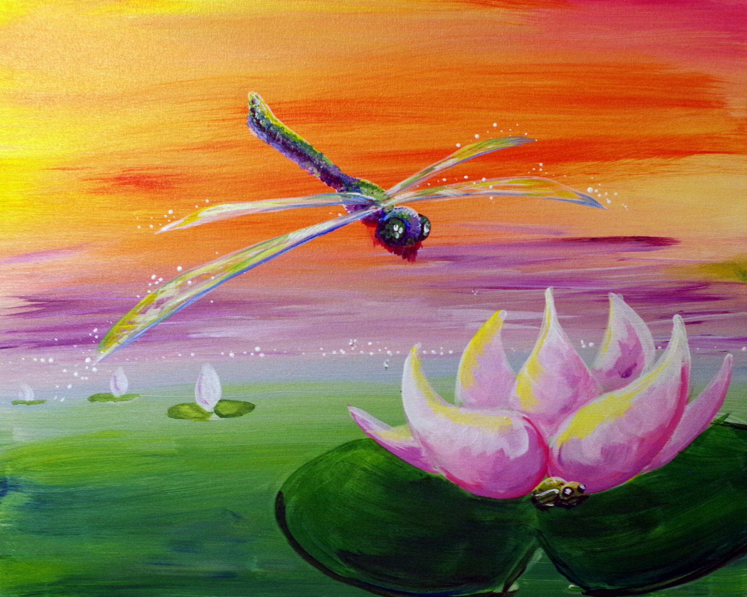 Hiding Dragonfly v2.JPG