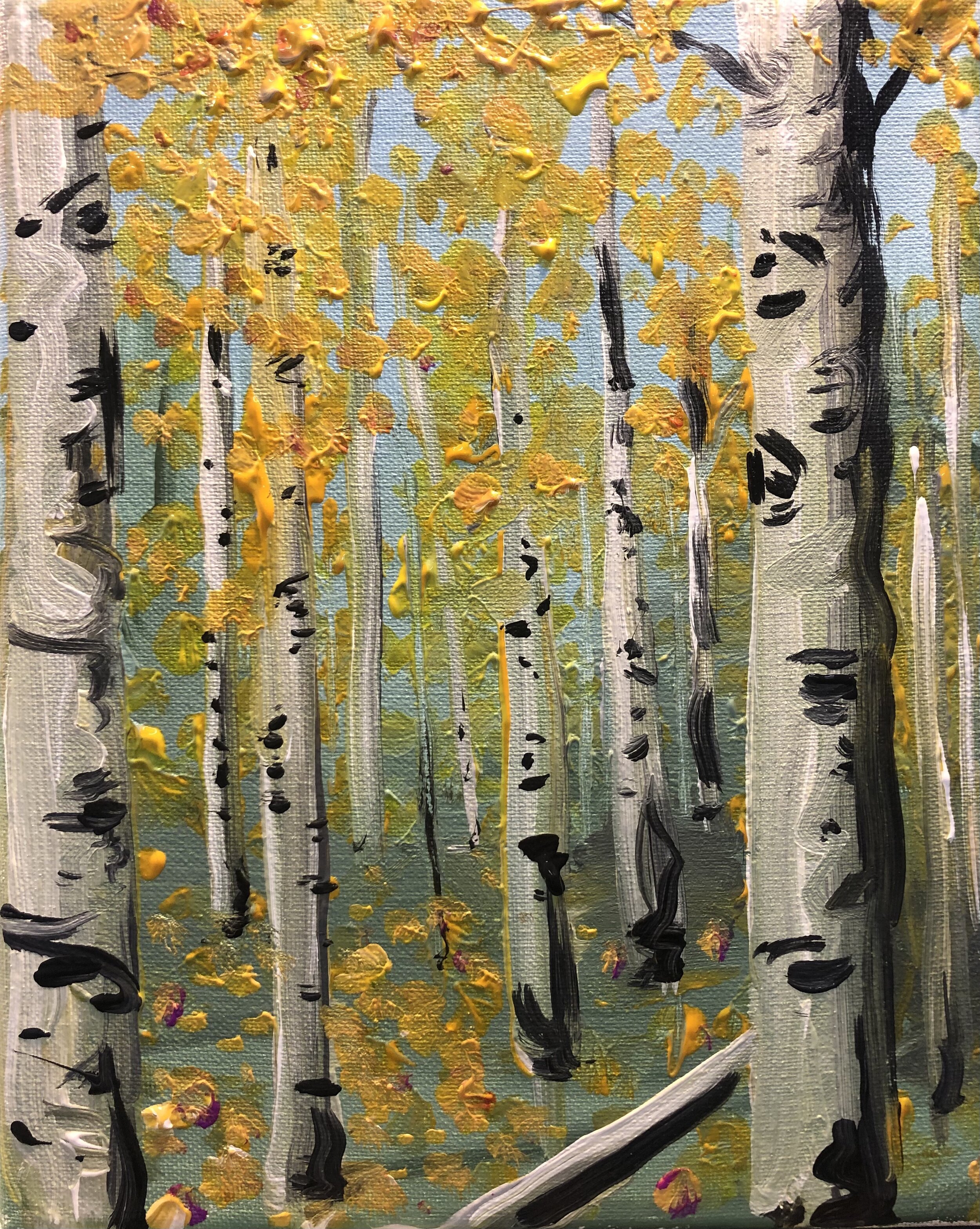 Aspen Tree Grove