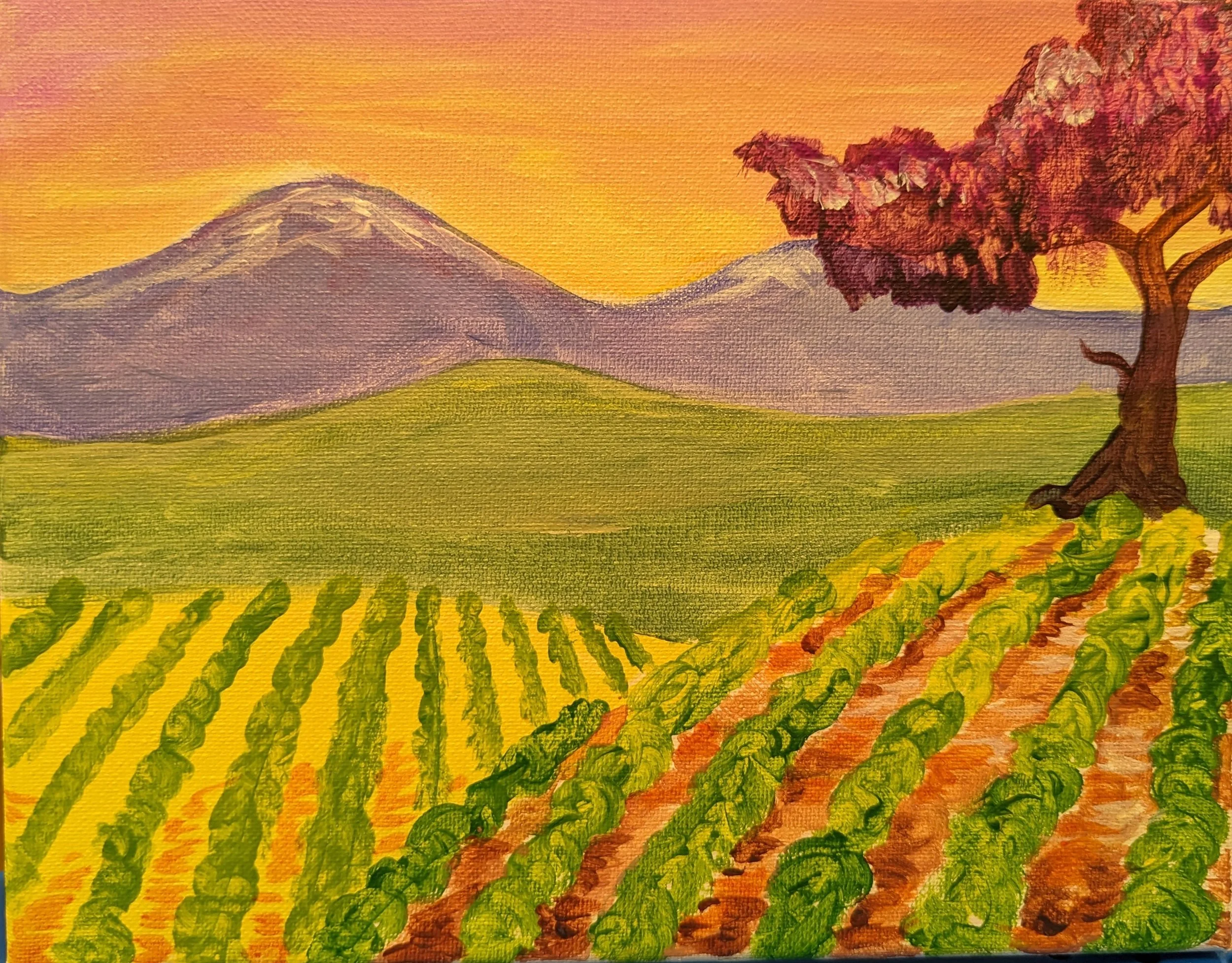 Vineyards.jpg