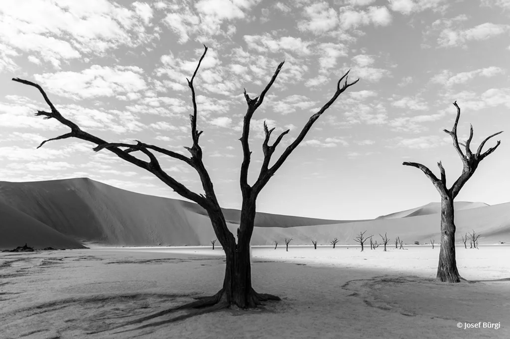 assignment-291-black-white-landscapes-josef.buergi-0-1496346827.jpg