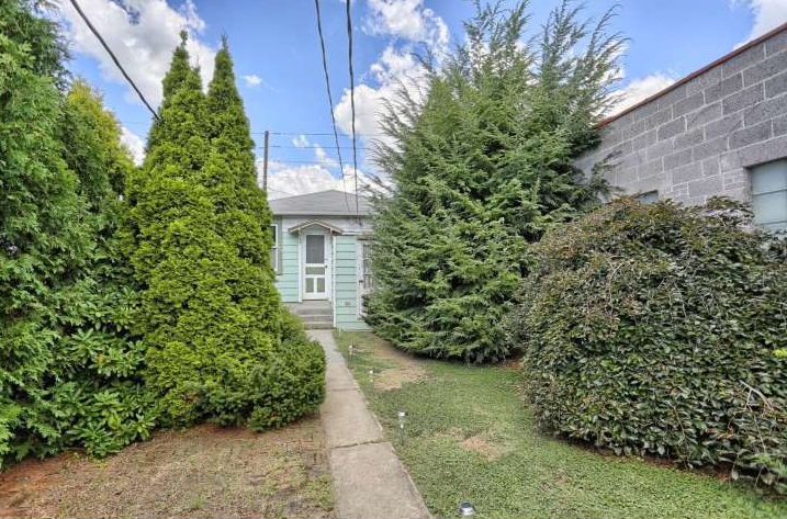 The original overgrown back yard.