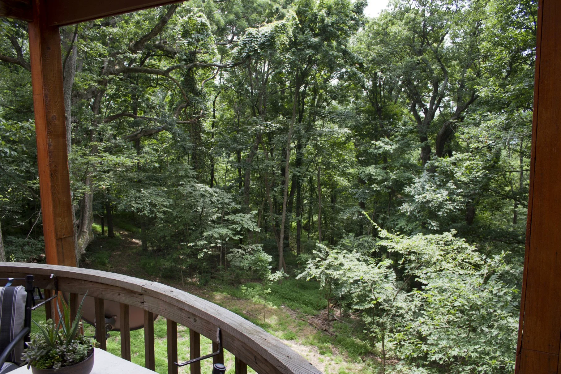 View From Eagle's Nest Balcony