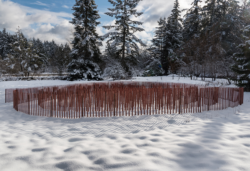 07 Snow Fence - snow.jpg