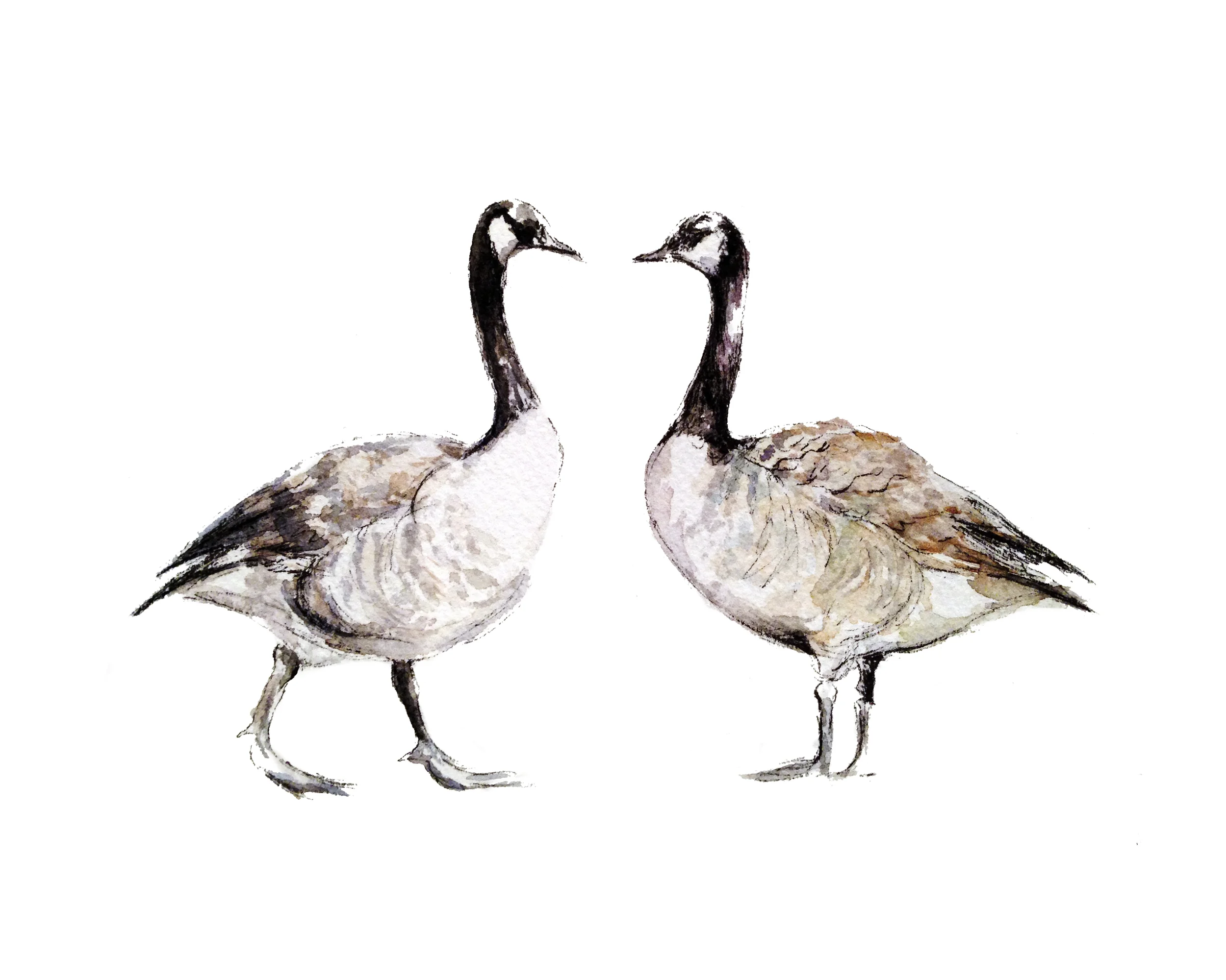10-geese-8x10.jpg