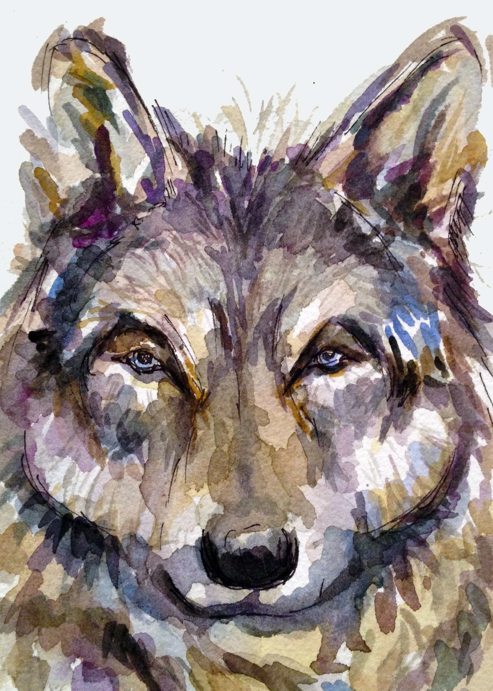 Purple Wolf Print