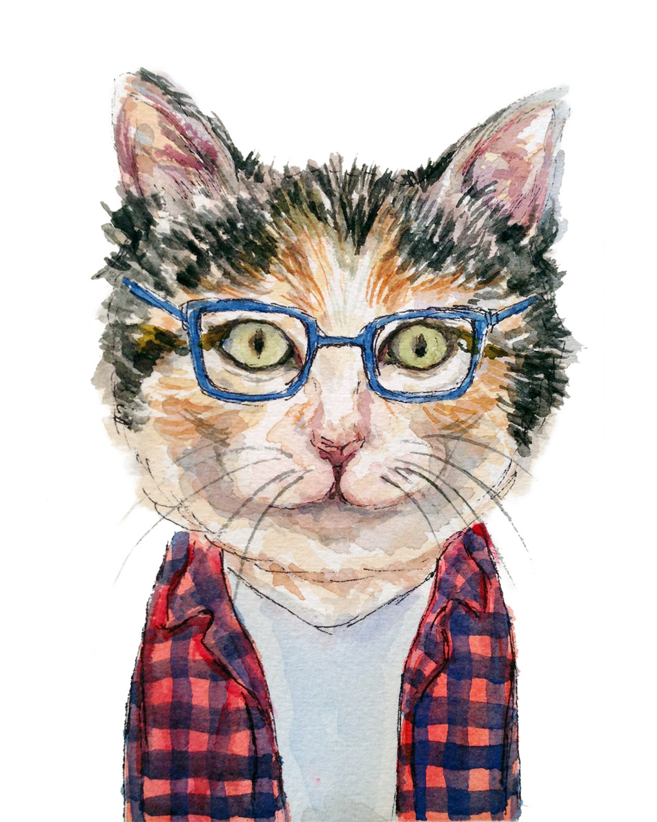 Jemaine Cat 