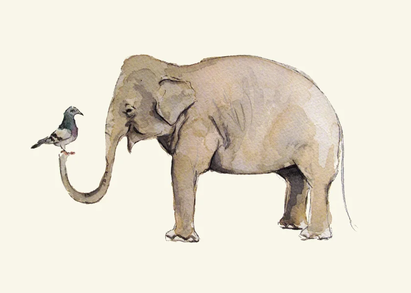 Elephant Pigeon Love Print