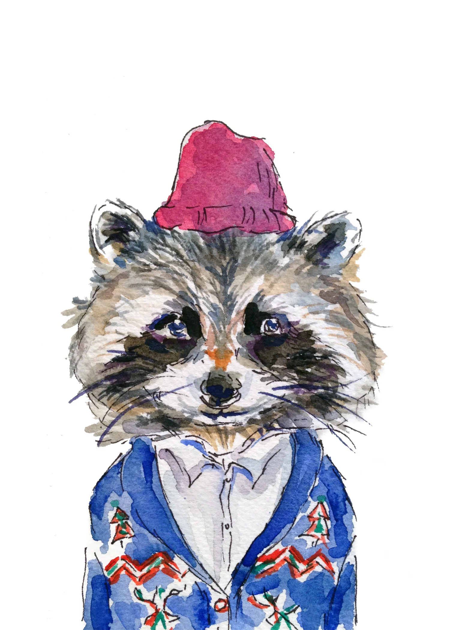 Raccoon Sweater Print