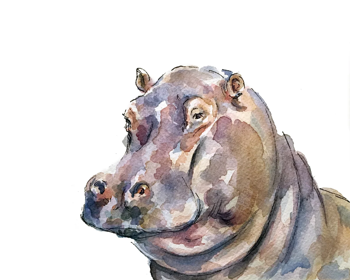Hippo Print