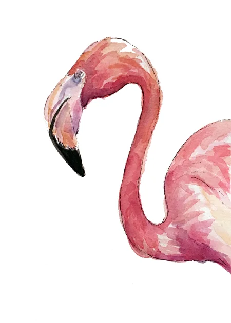 Flamingo Print
