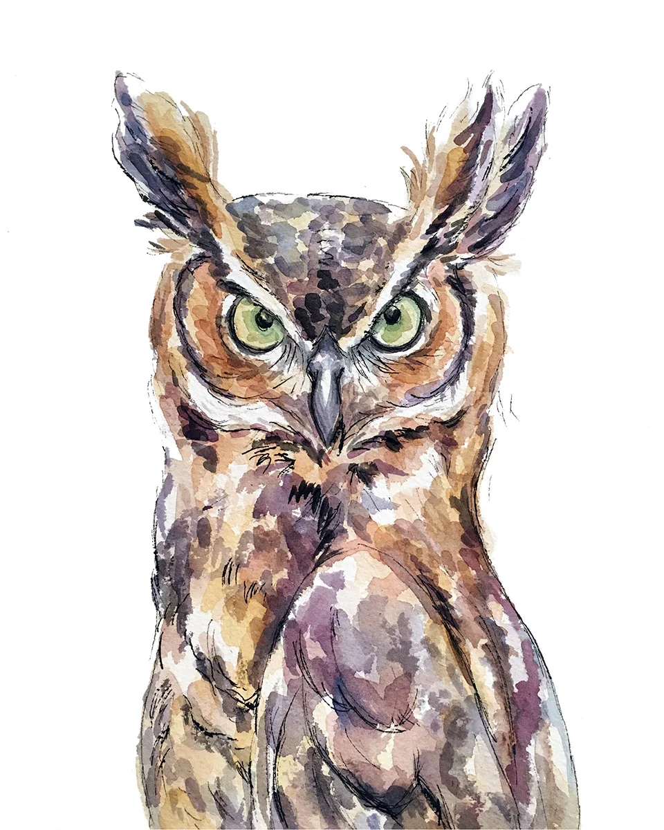 Wise Owl Print