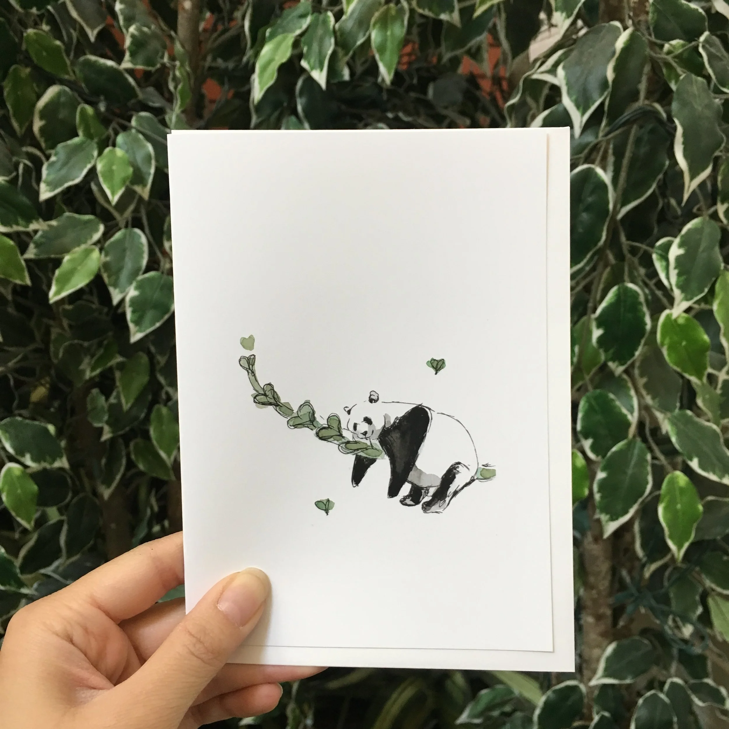 Panda-pic.JPG