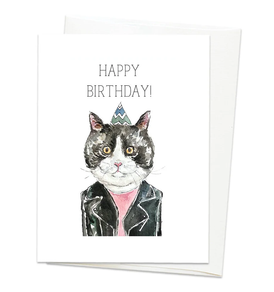 cat in leather jacket