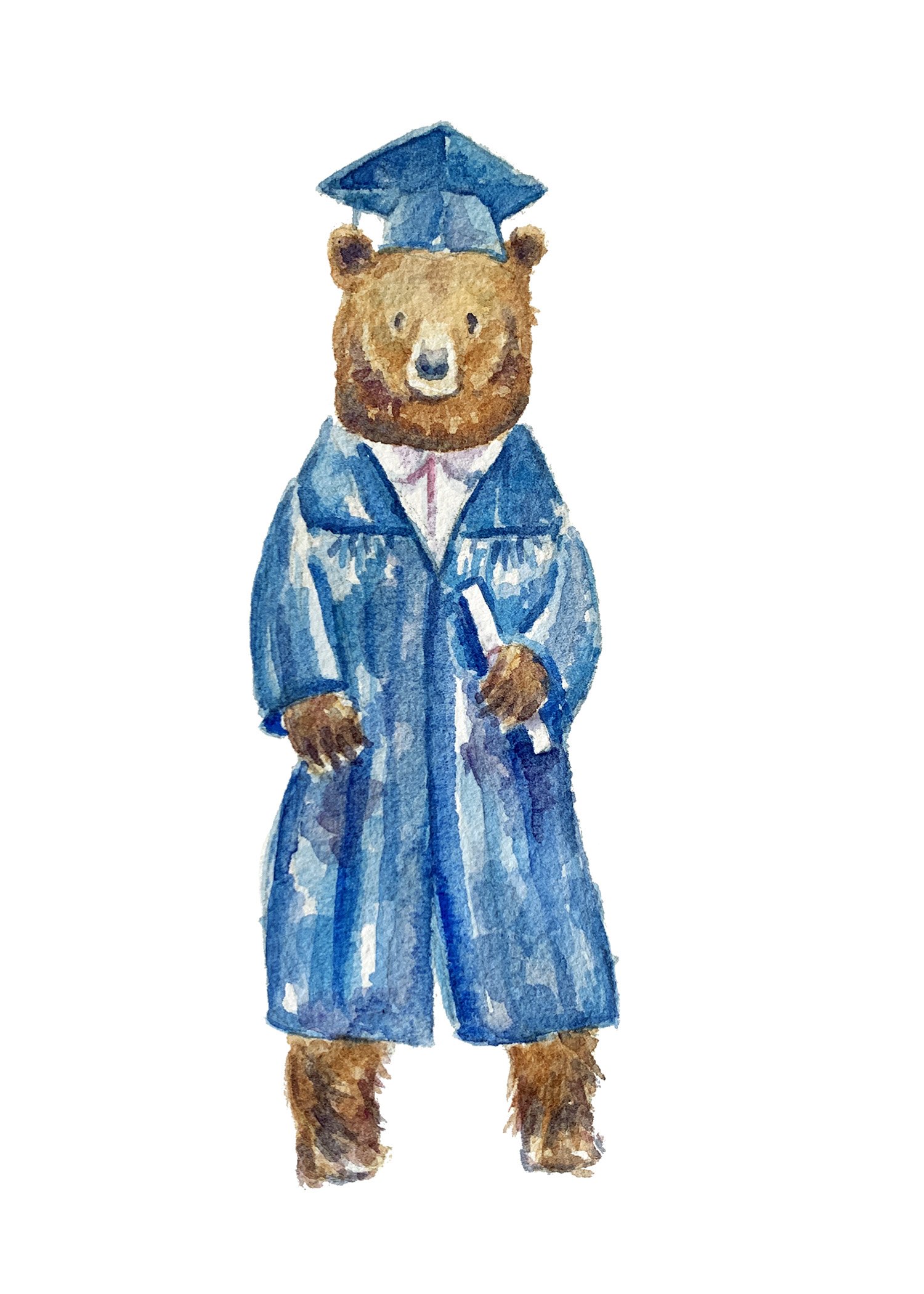 Grad Bear