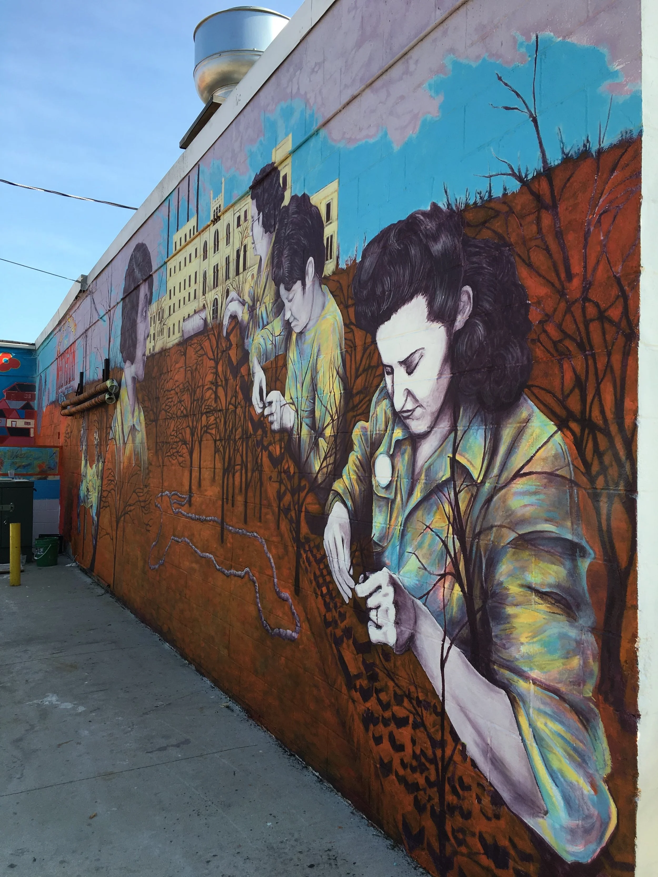 Madison Mural Alley — The BUBBLER Madison Public Library