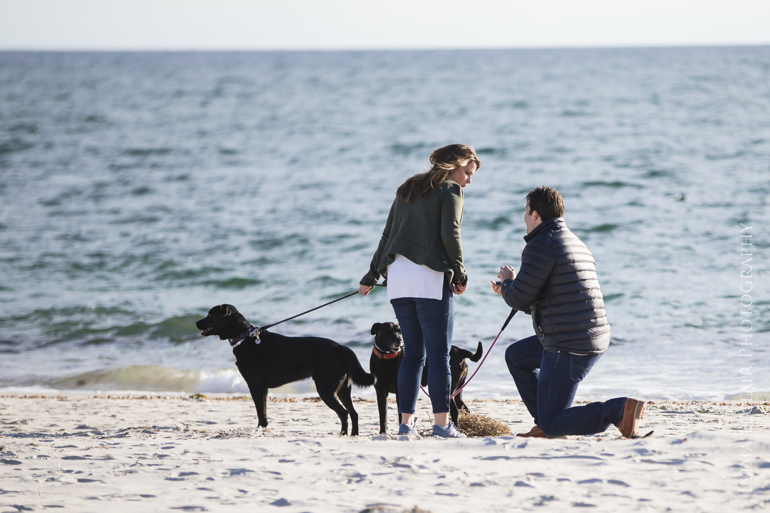 chatham proposal photography
