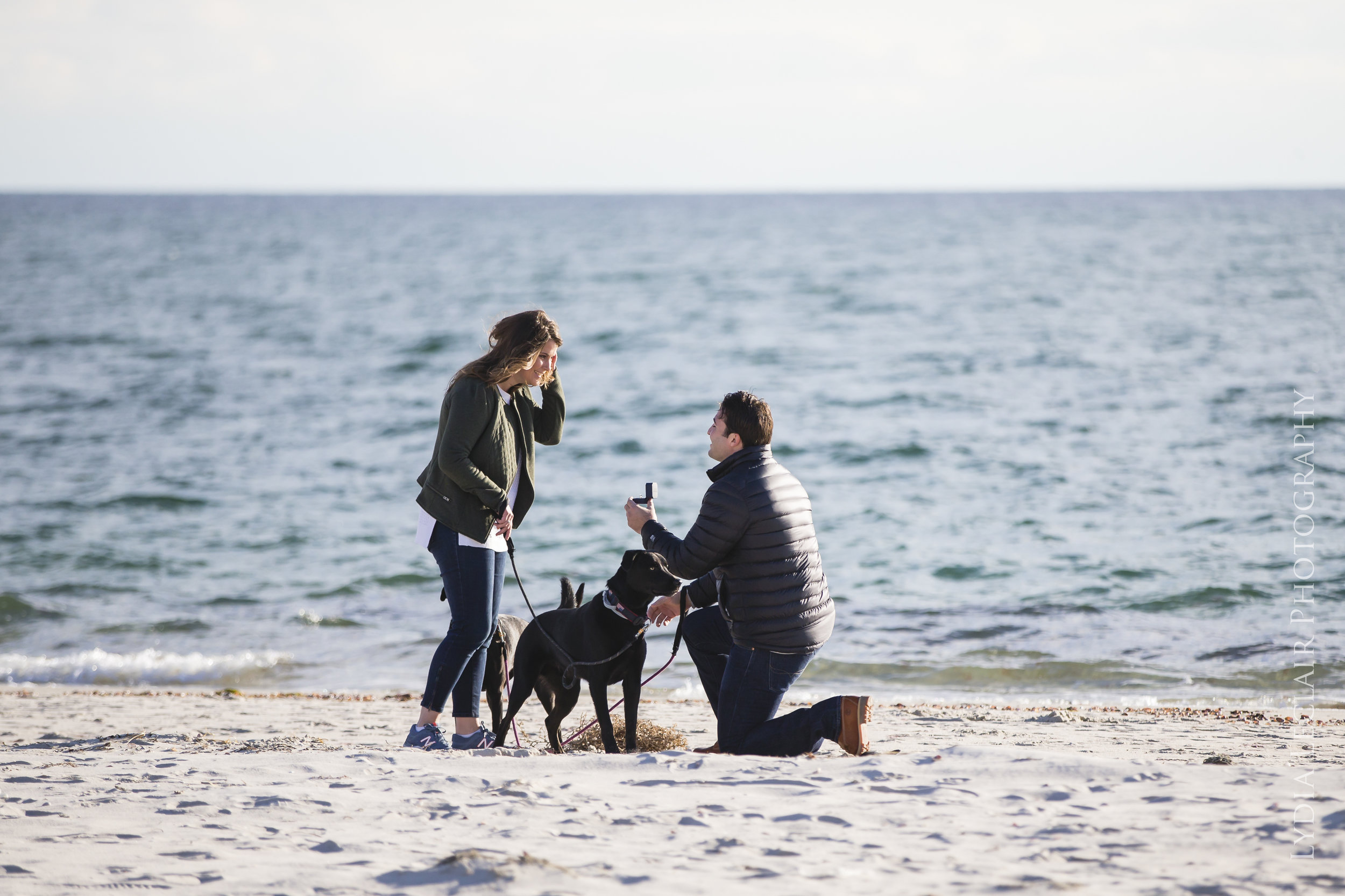 chatham proposal photography