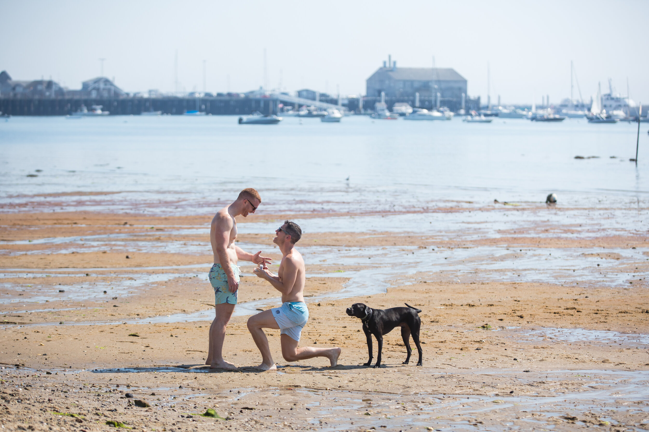 Cape Cod Provincetown marriage proposal-2.jpg