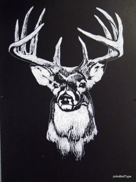 deer.jpg