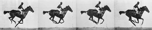 Sequence of a race horse galloping. Photos taken by Eadweard Muybridge, first published in 1887 at Philadelphia