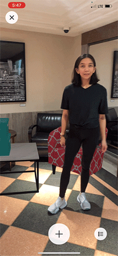 WayfairAR.gif