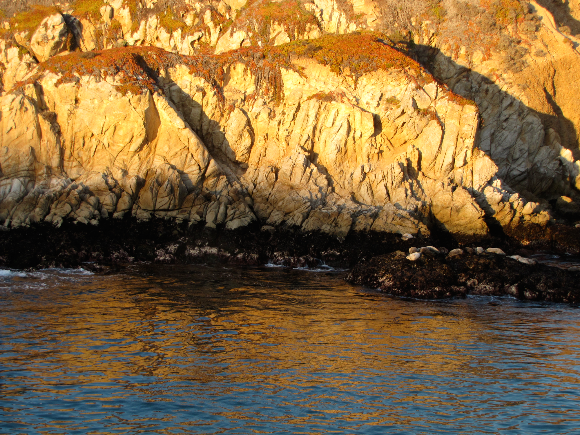 Point Lobos
