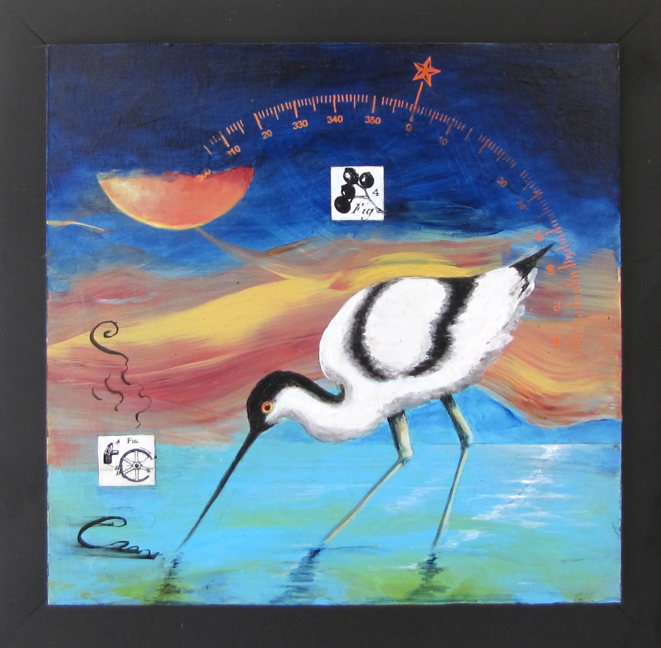 Shore Bird IMG_4597.jpg