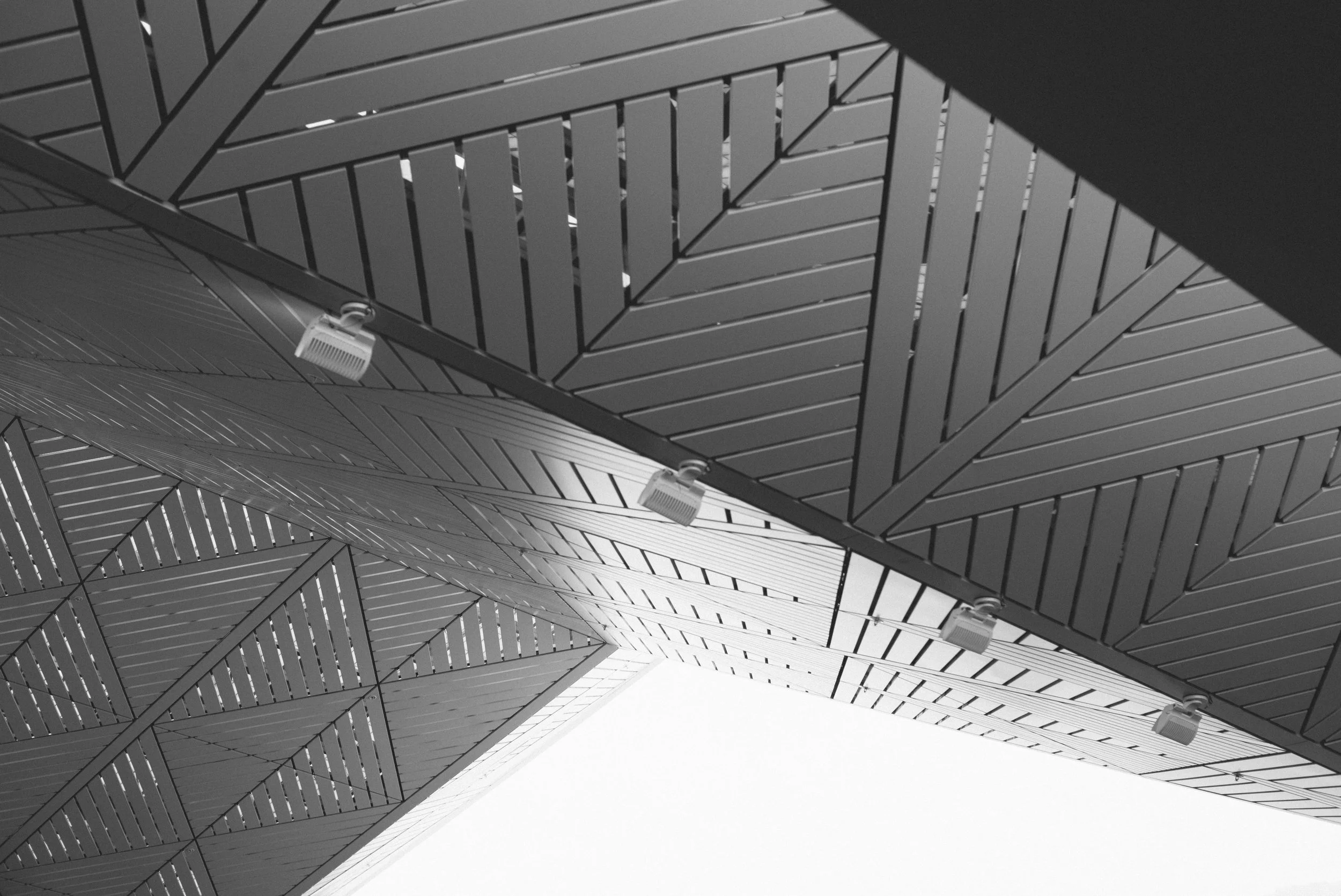 L1000286.jpg