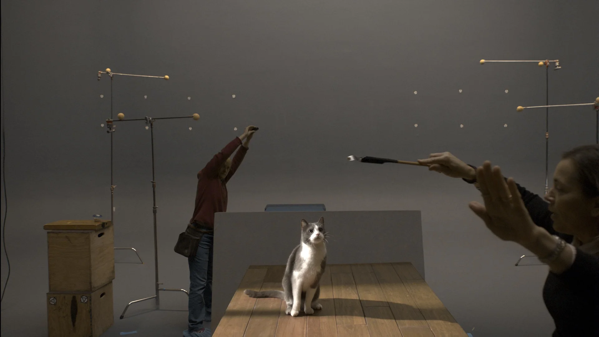 Friskies_Before_01.jpg