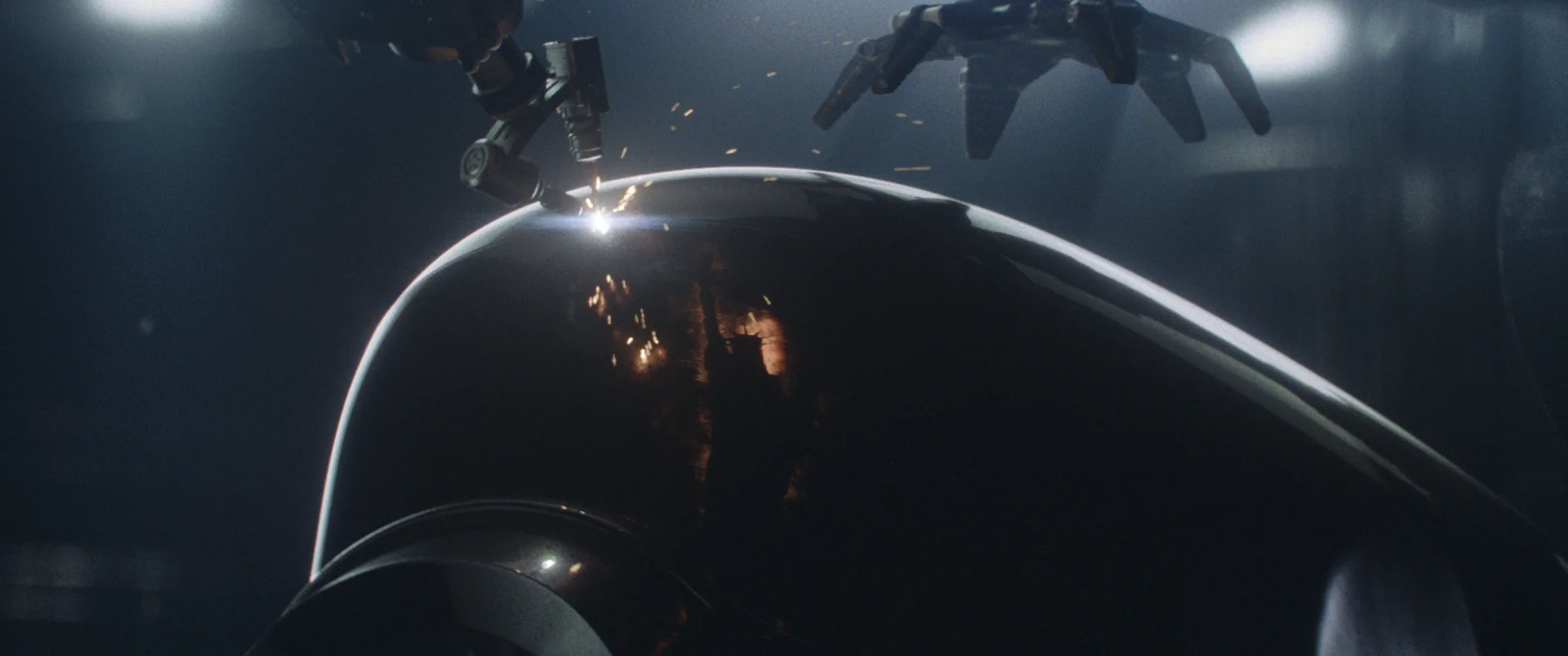 Wolf_Frame_1078.jpg