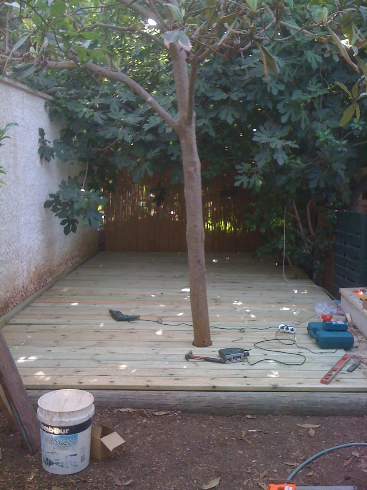Picture 486.jpg
