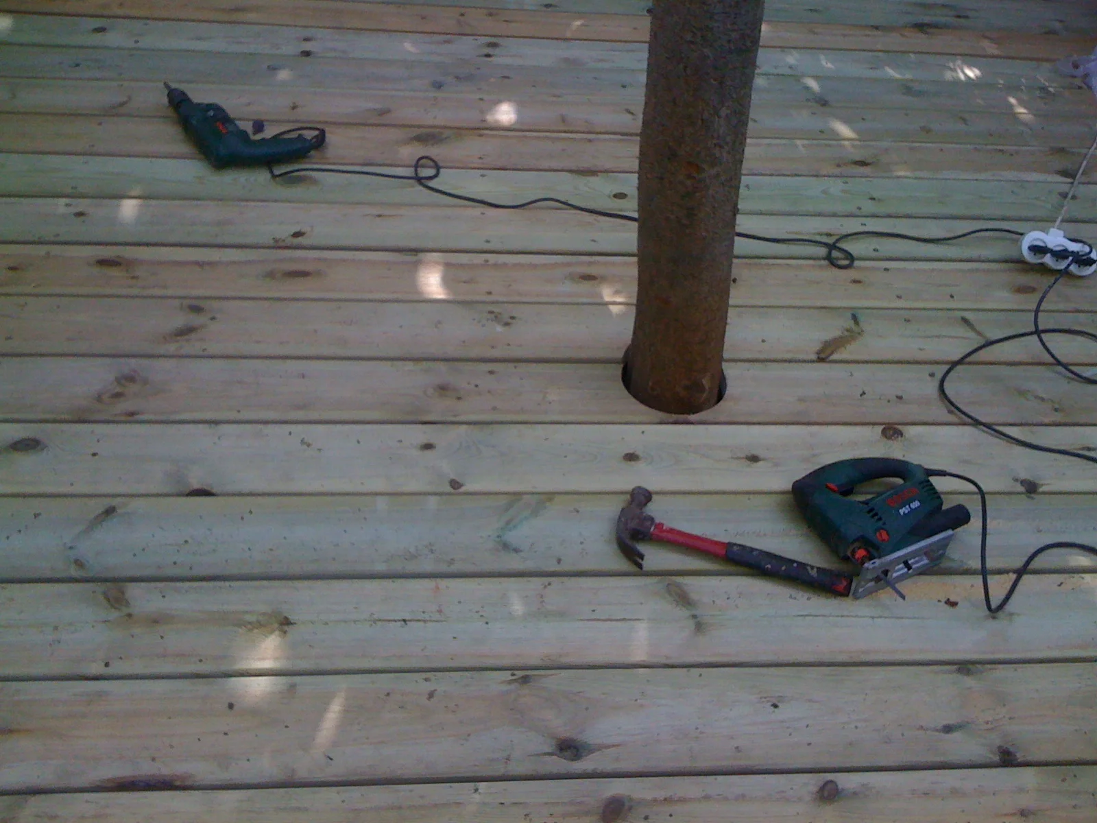 Picture 990.jpg