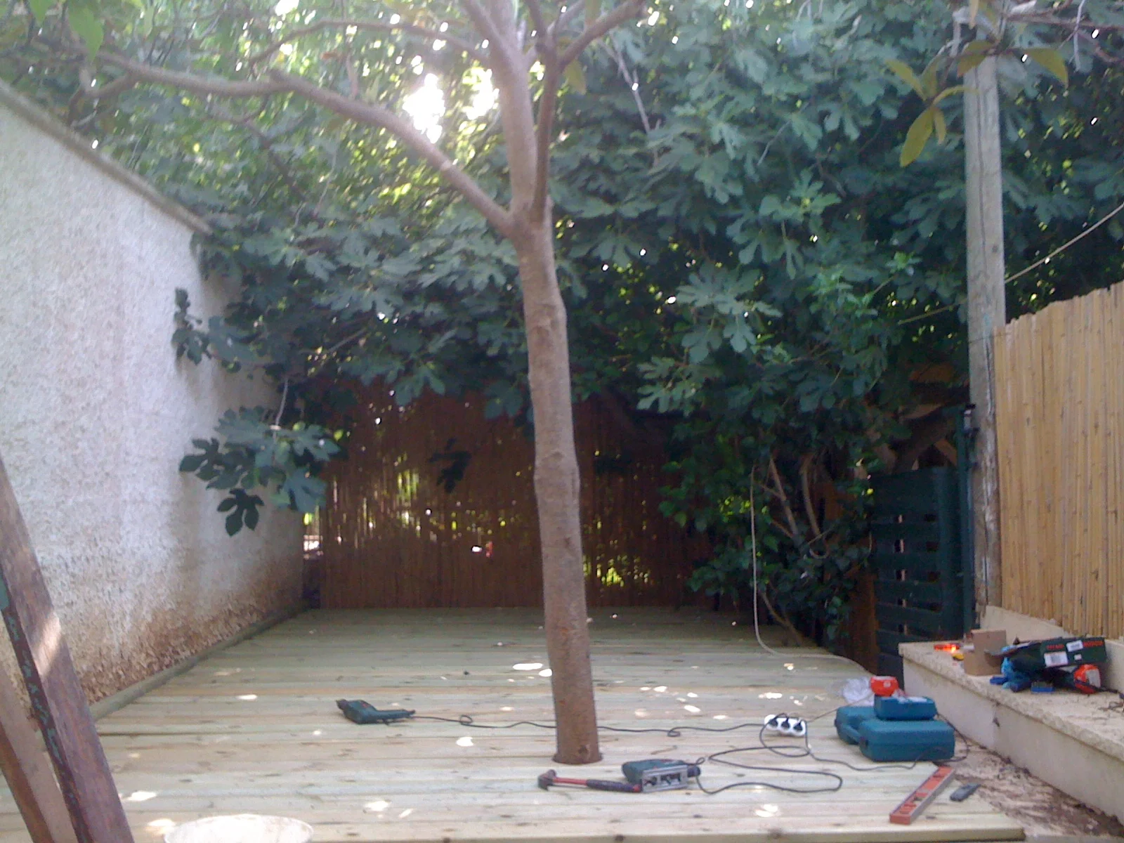 Picture 1103.jpg