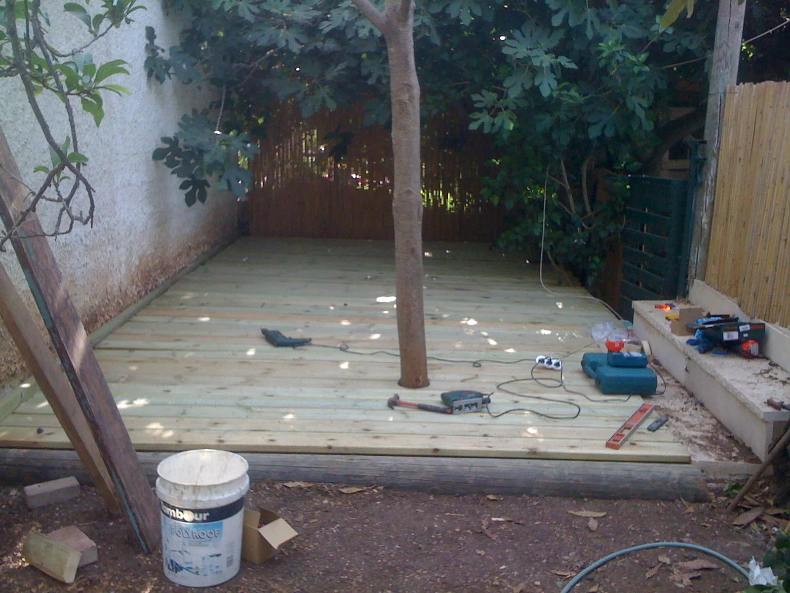 Picture 1147.jpg