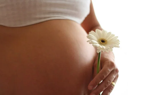 pregnancy.jpg