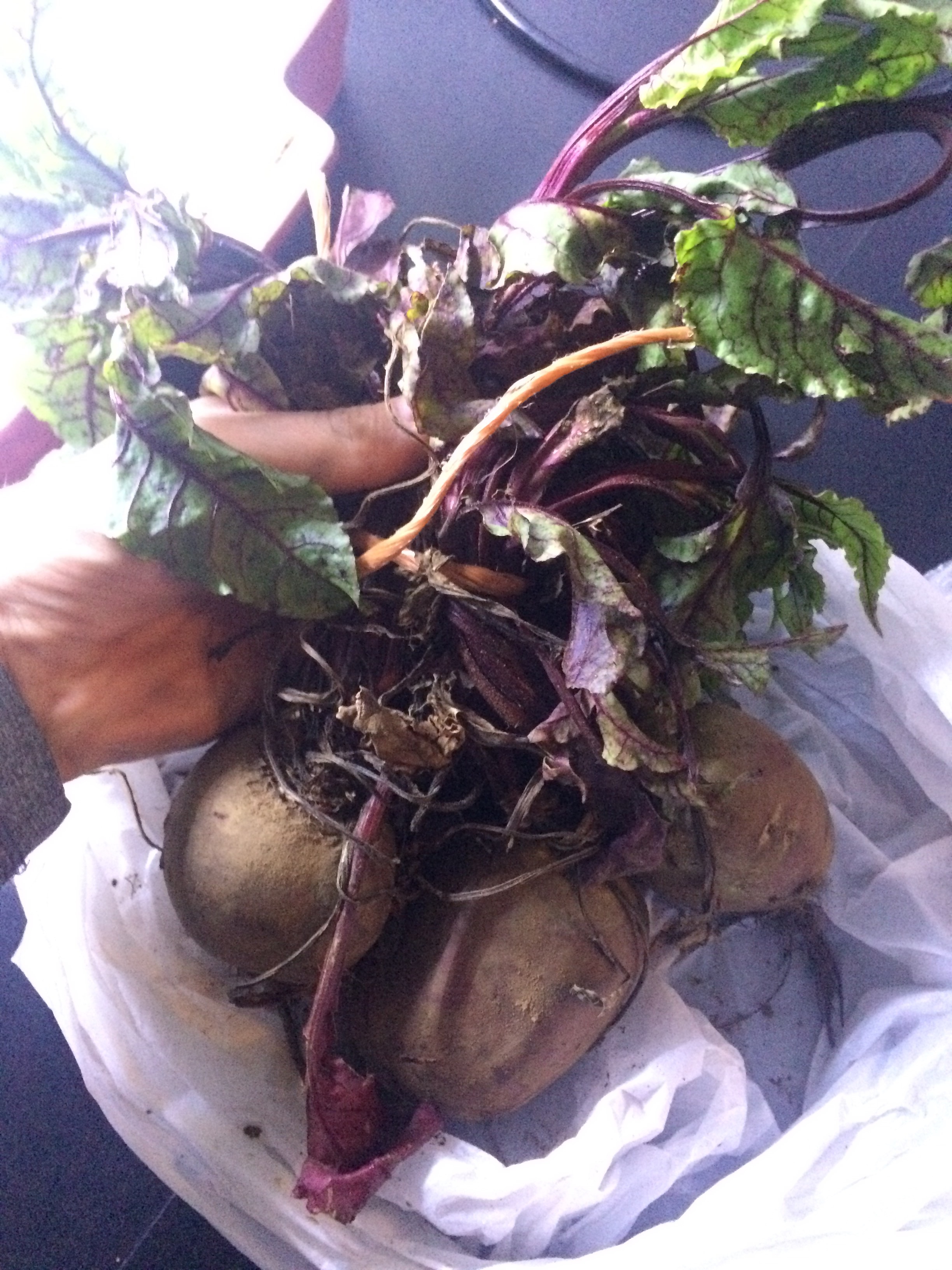 First time ever cooking with fresh beetroot was a roaring success.