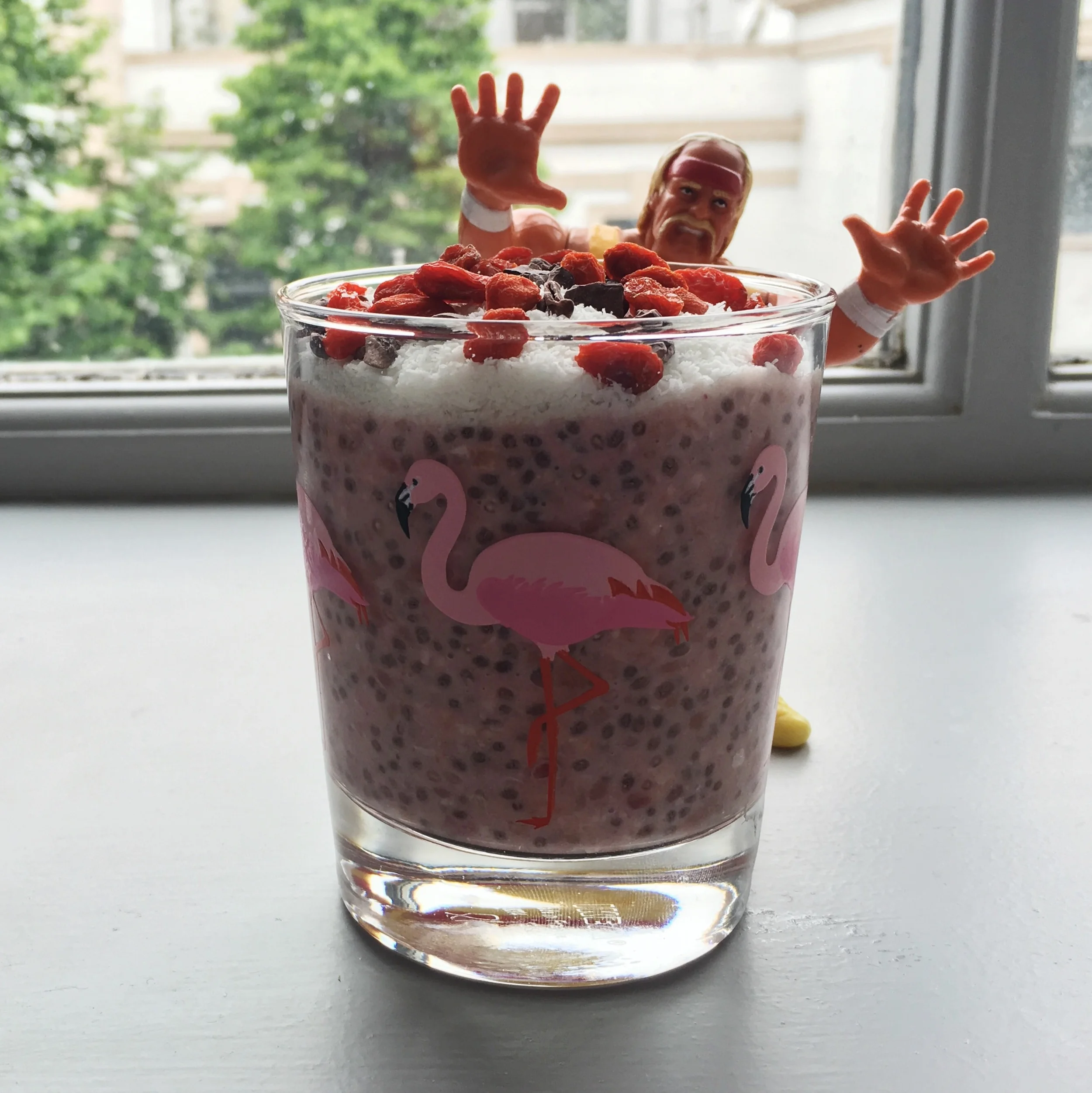 Raspberry Chia Pudding!