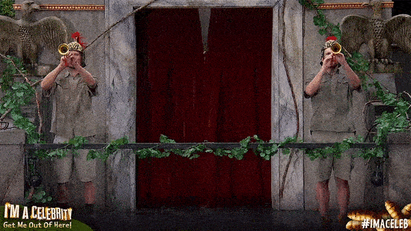 I'm not a Celebrity, get me on the radioooo!