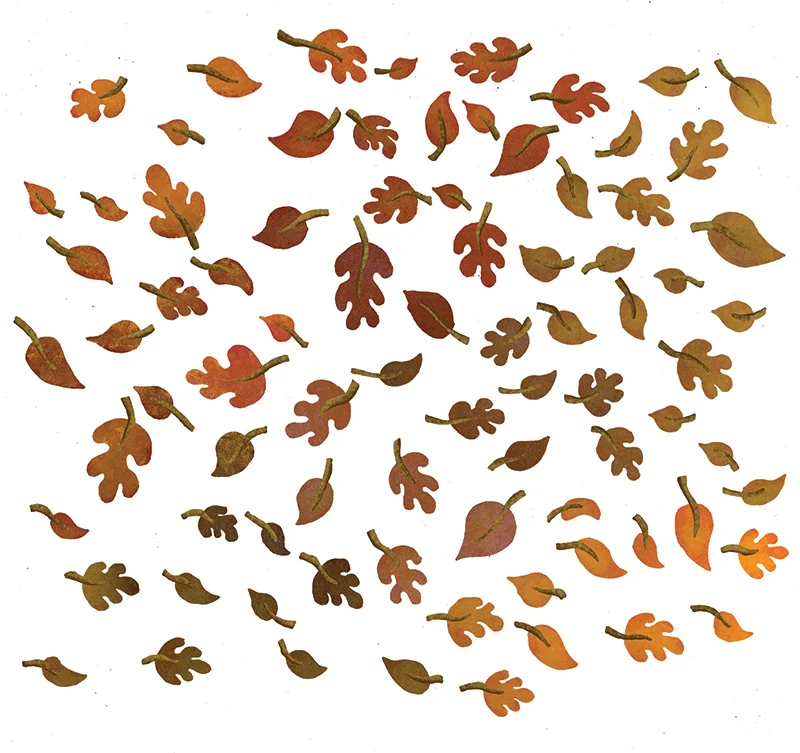 All the individual leaves used in the illustration, also provided as separate elements to the in-house design team at Bristol Old Vic.