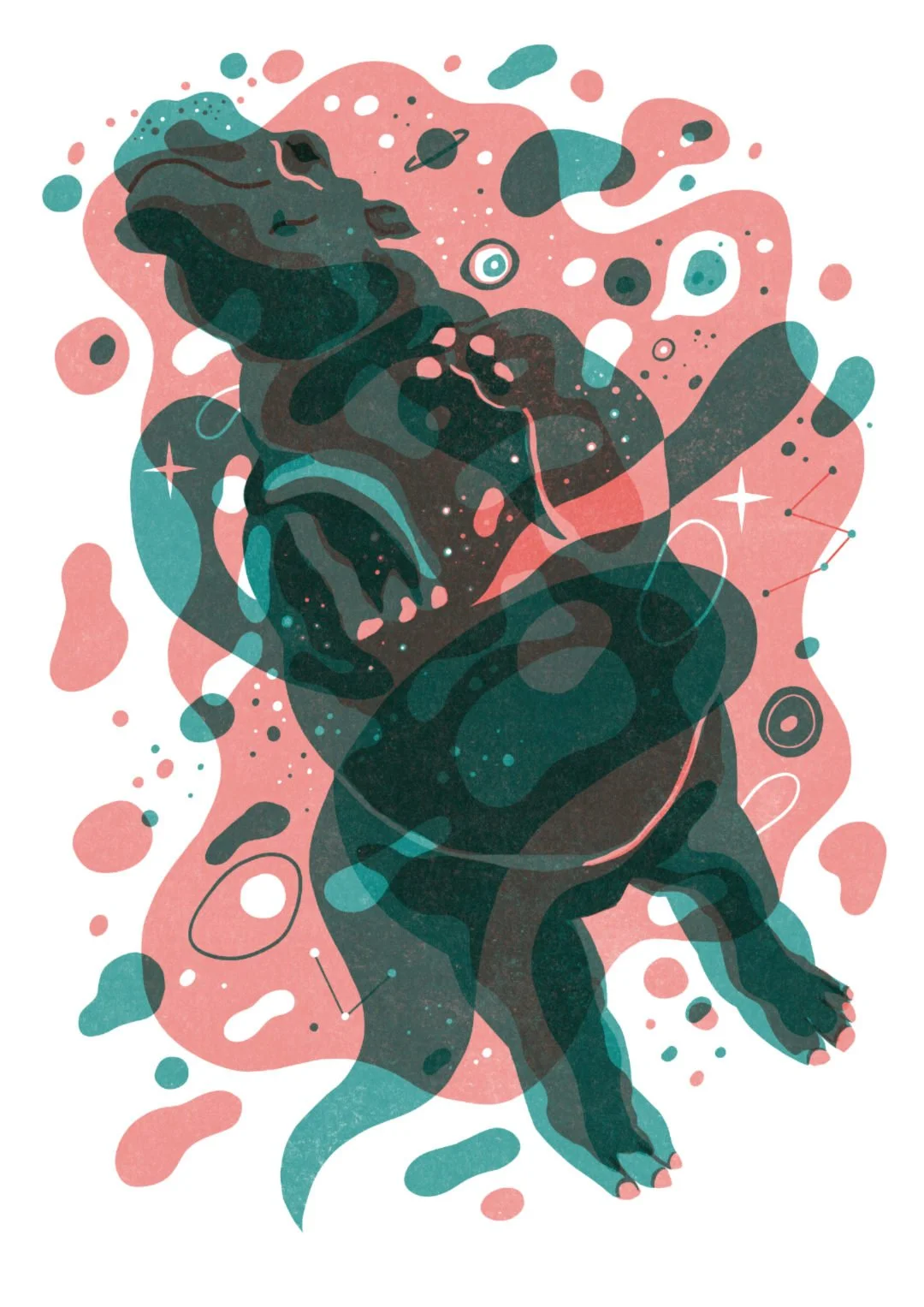 dave-bain-hippo-swimming-nature-space.jpg