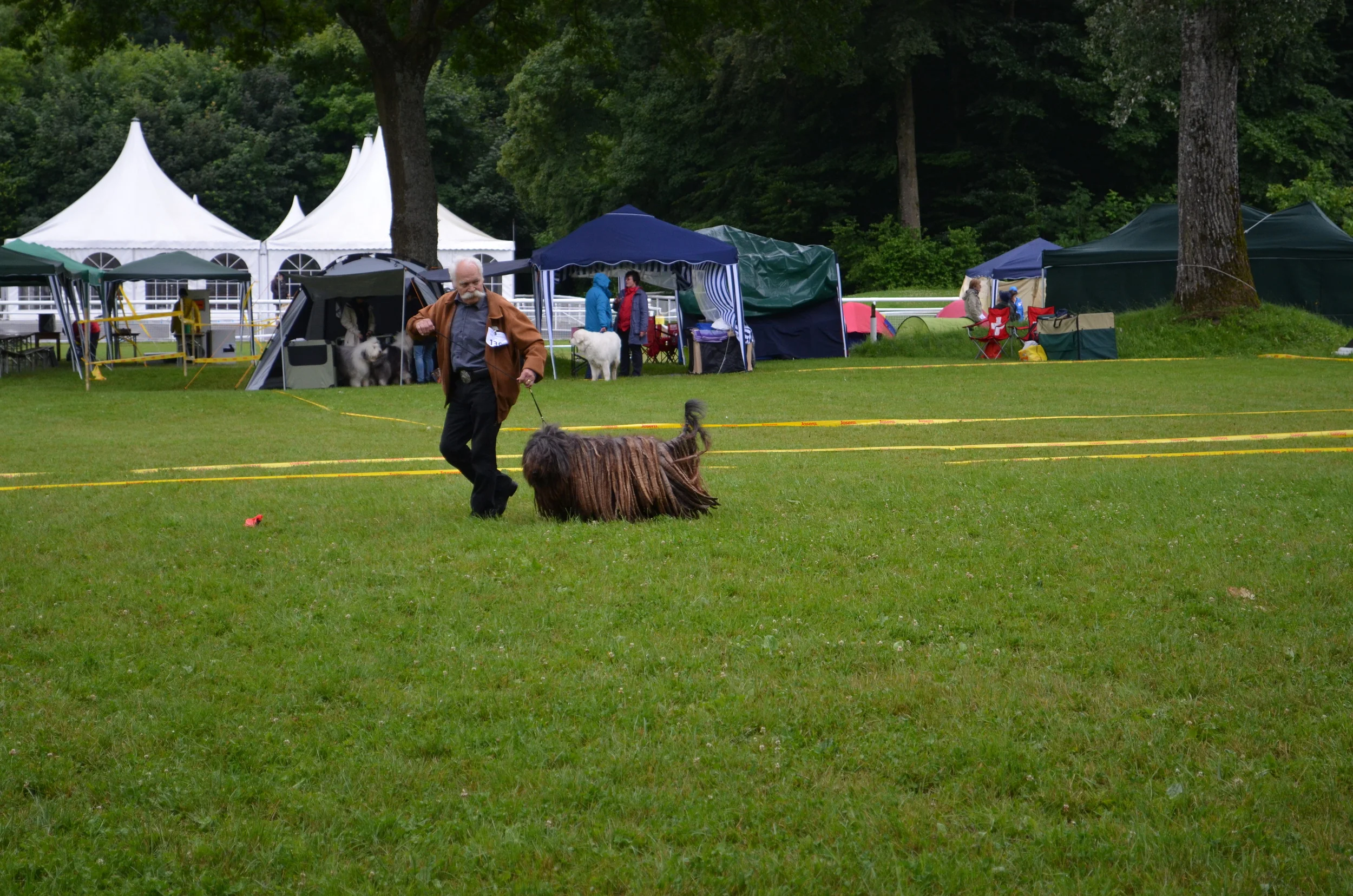DSC_0175.JPG