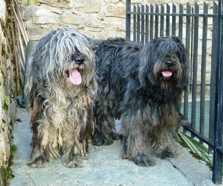 2011 okt.nov. Tessin,Casargo 273.jpg