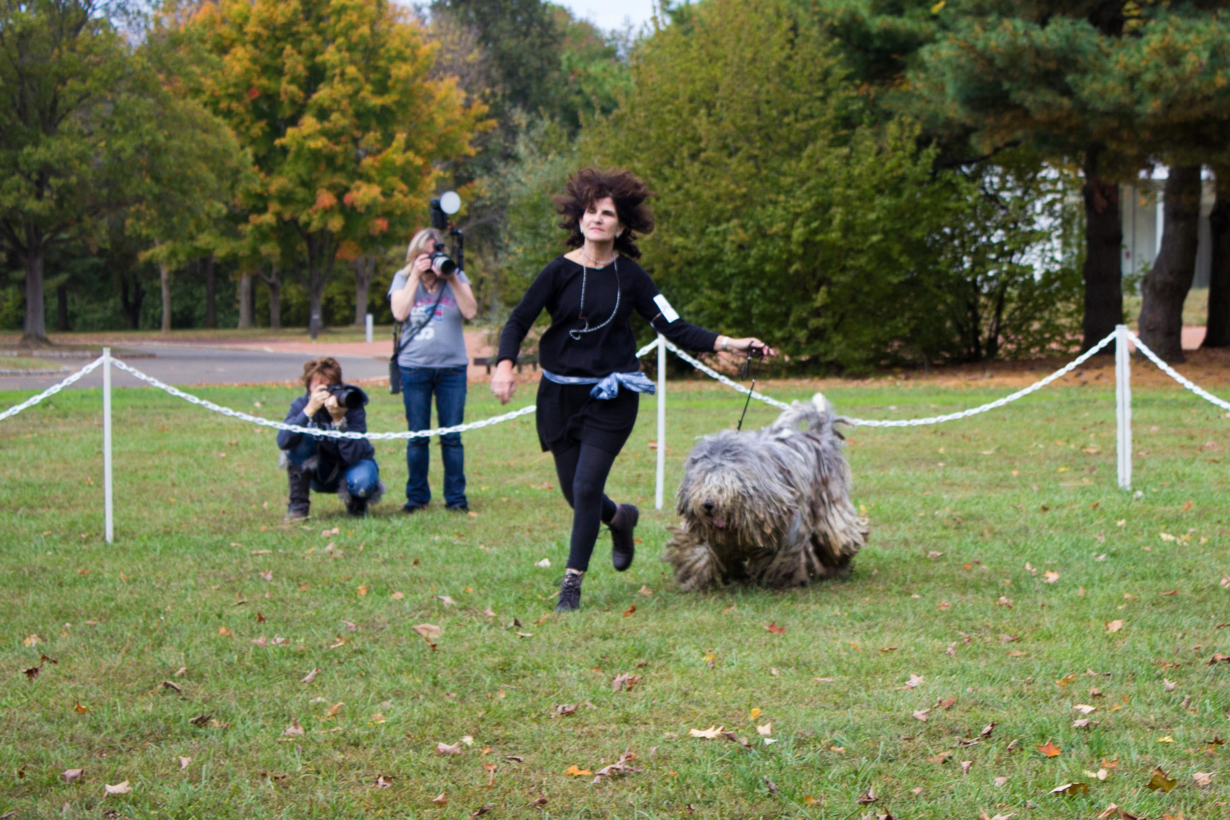 20131012 - DogShow-6.jpg