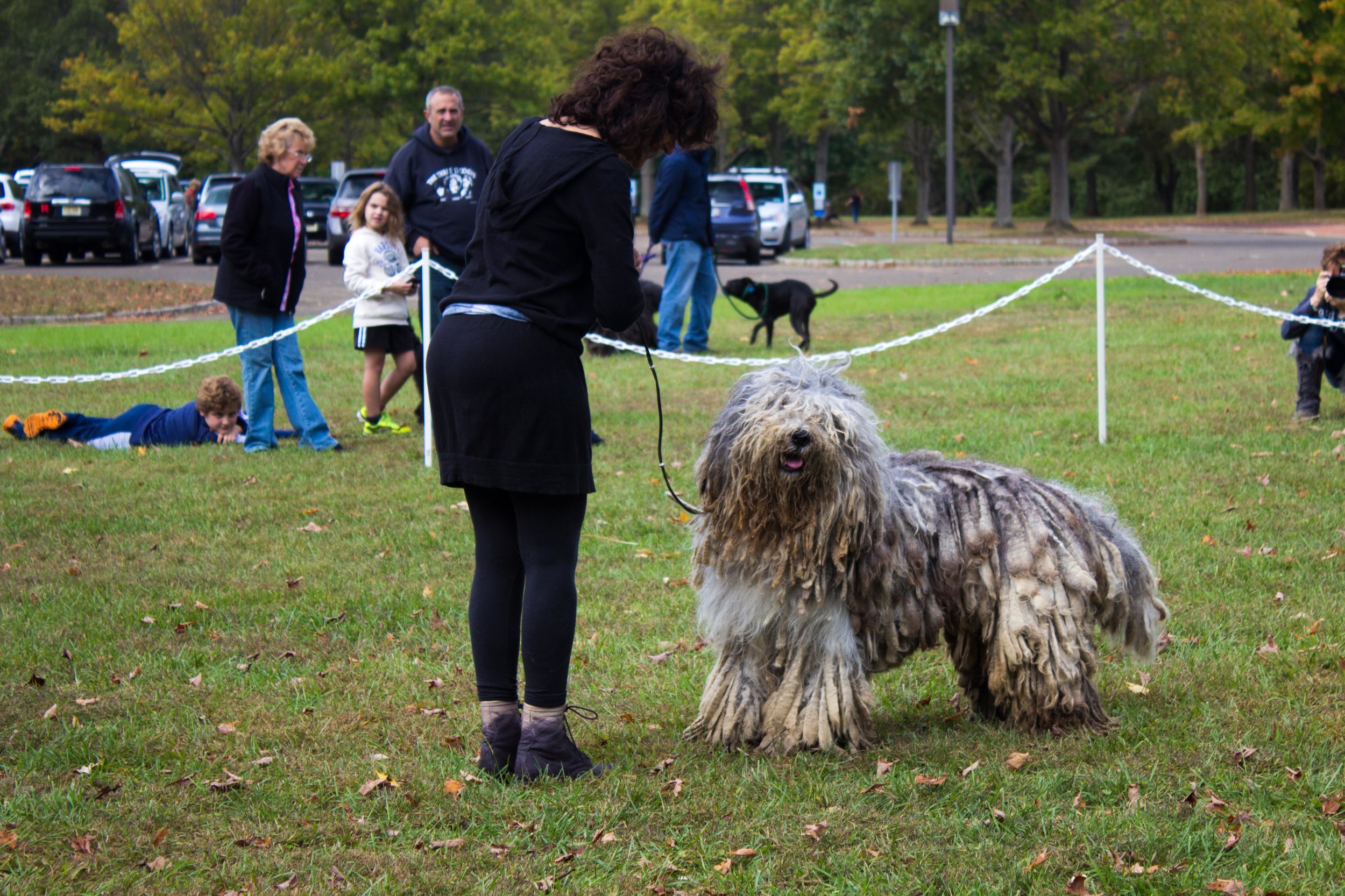 20131012 - DogShow-7.jpg