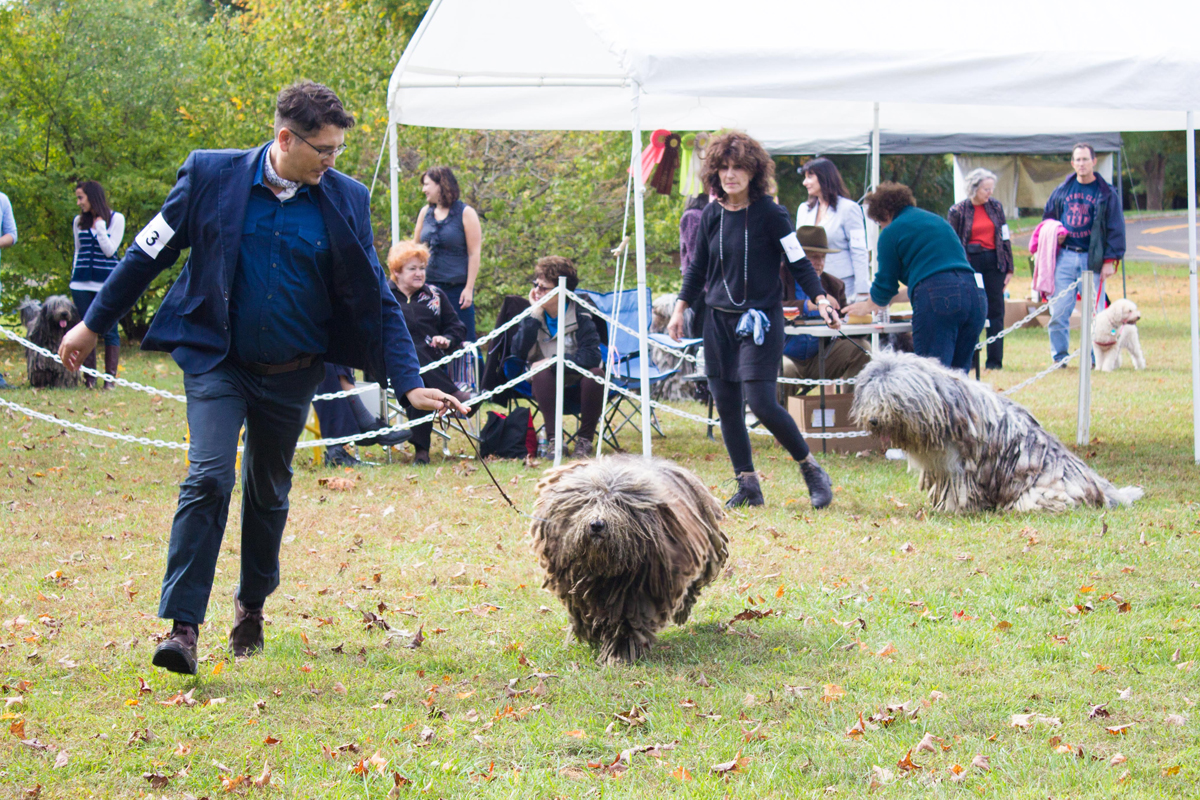 20131012 - DogShow-12.jpg