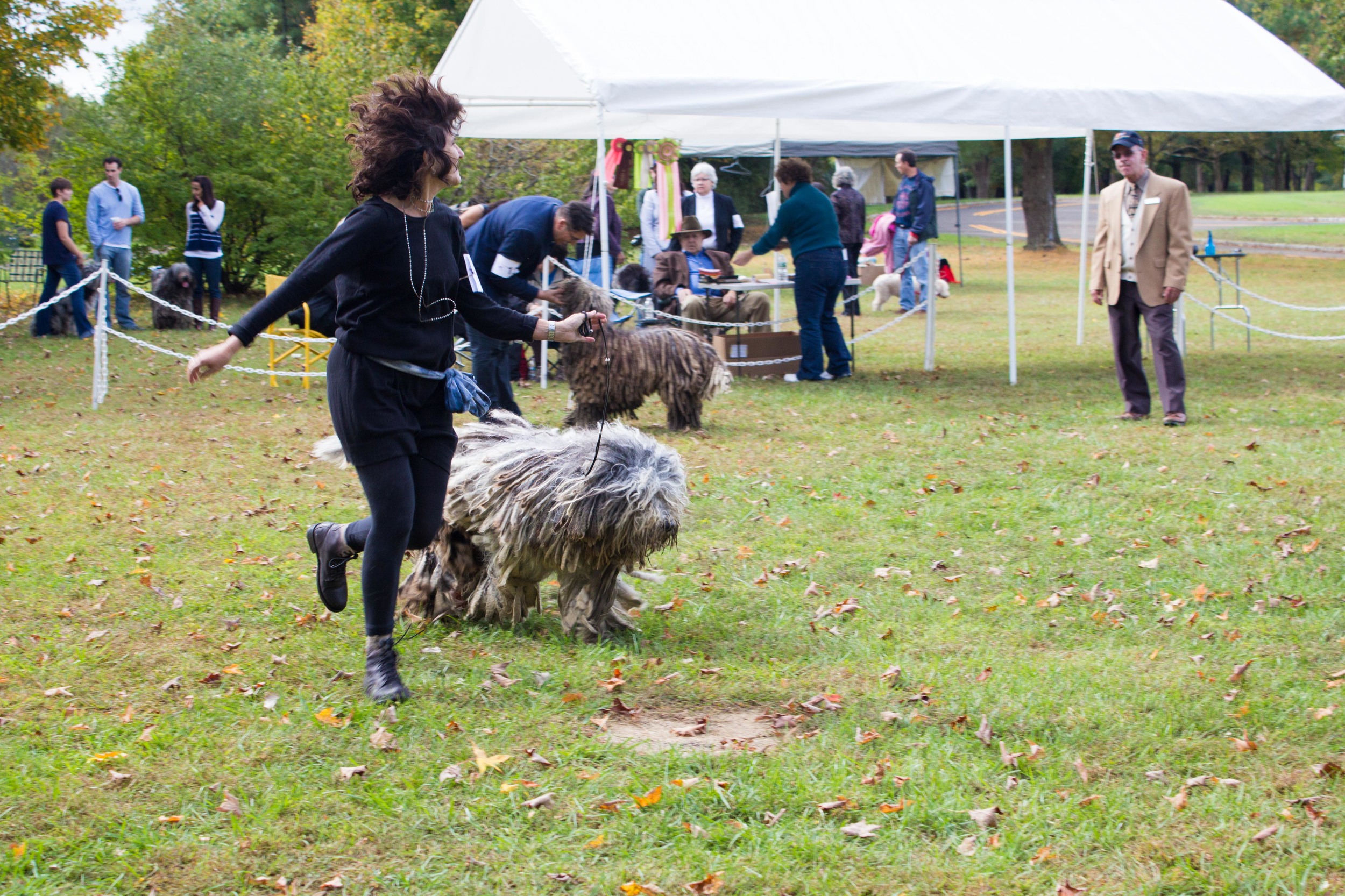 20131012 - DogShow-14.jpg