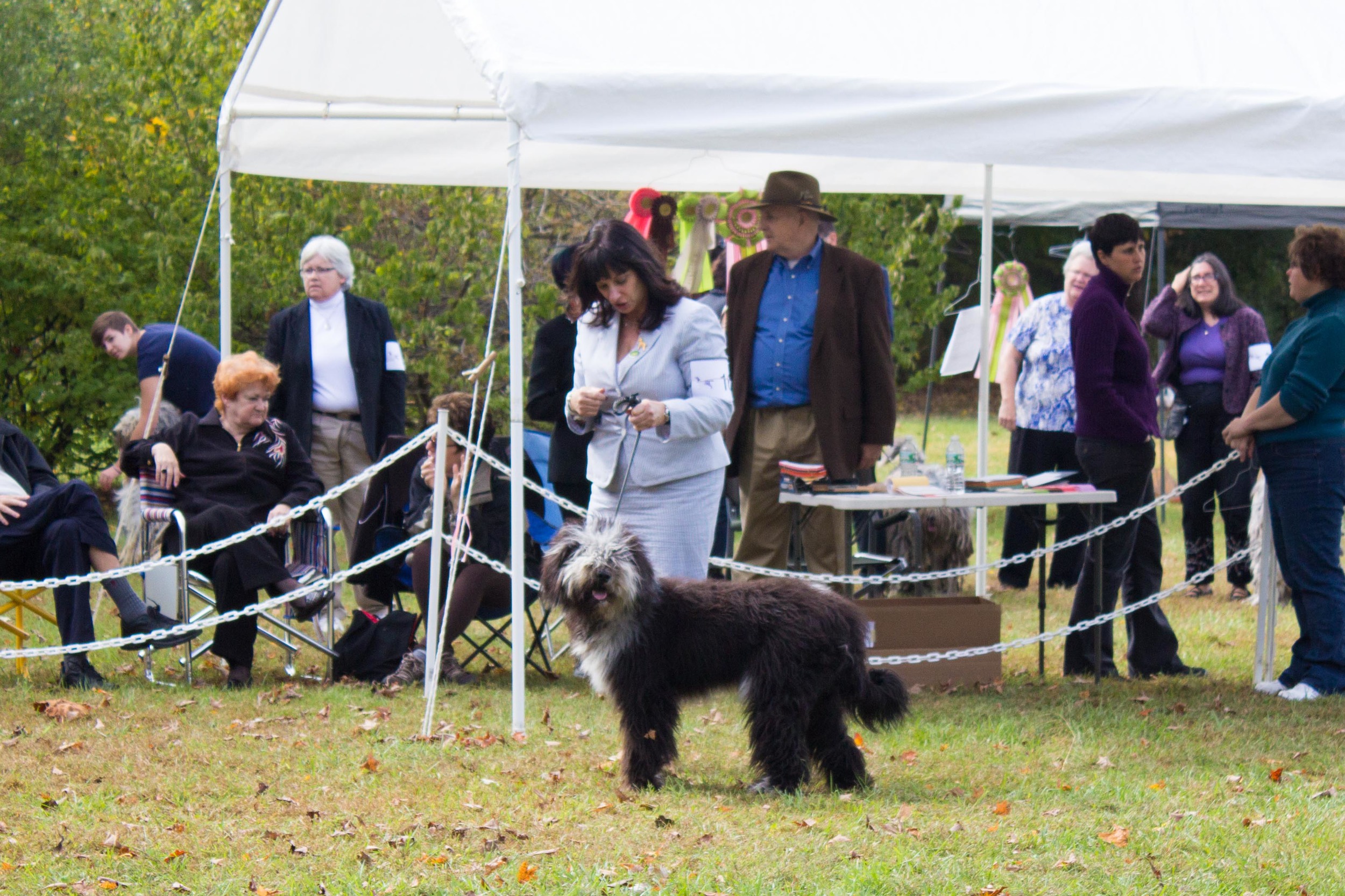 20131012 - DogShow-16.jpg