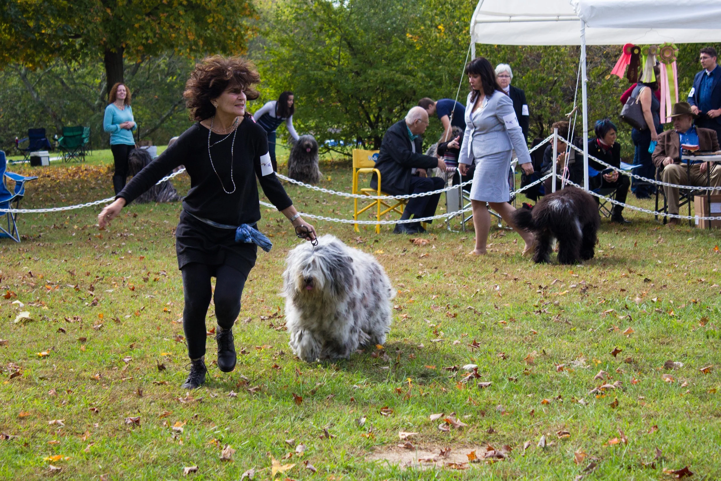 20131012 - DogShow-18.jpg